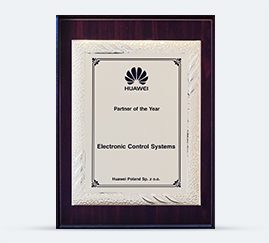 HUAWEI Partner od the Year 2010